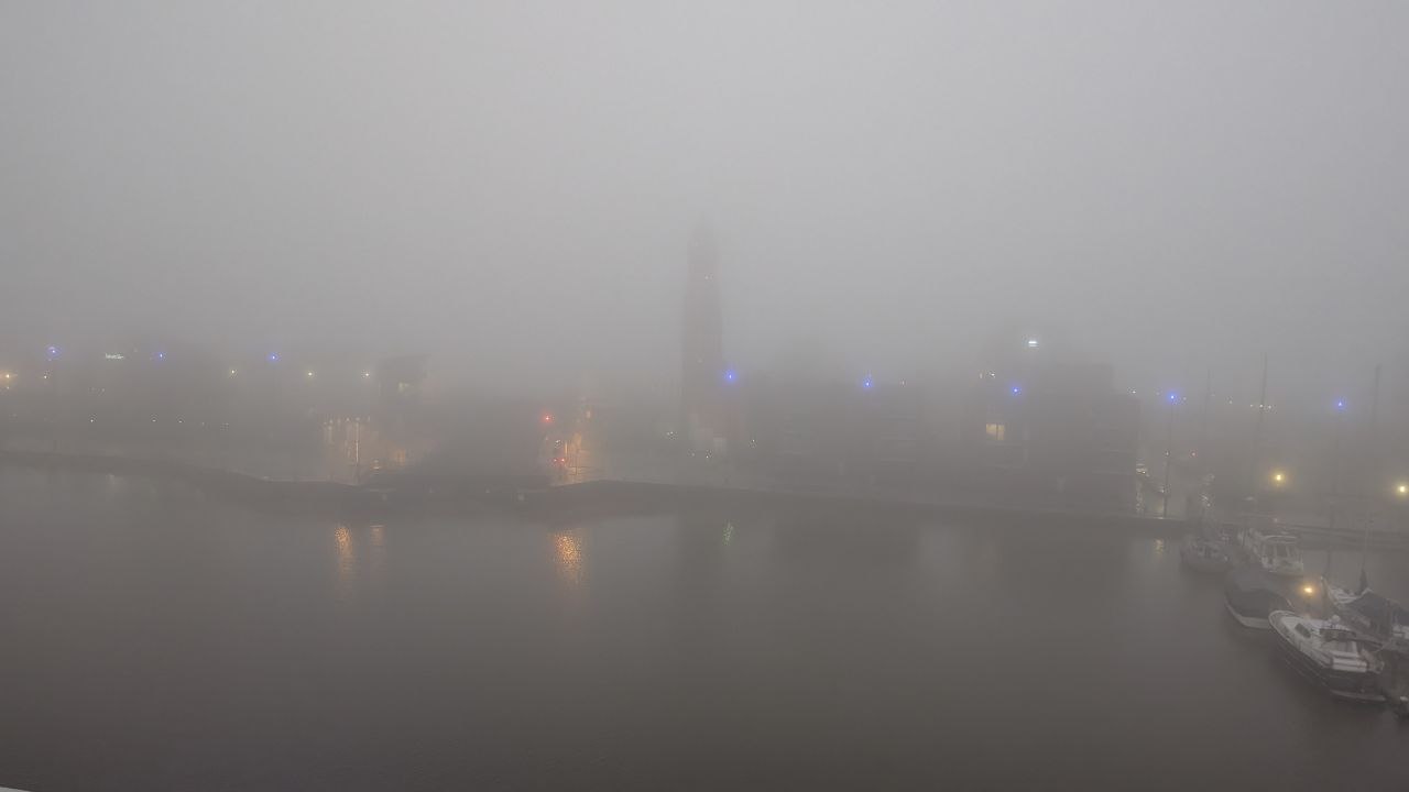 Der Nebel